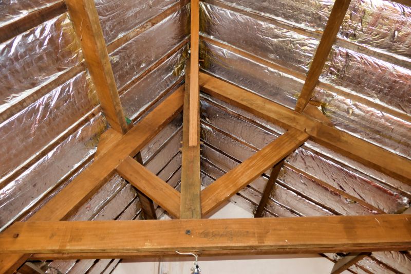 Interior Roof Features