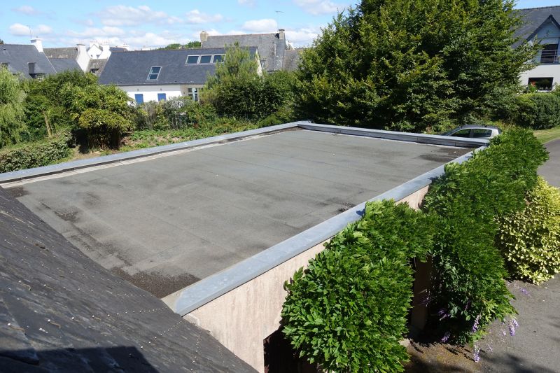 Green Roofing Options